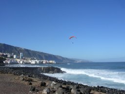 Les canaries